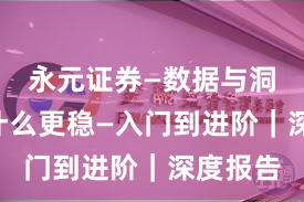 永元证券—数据与洞察—凭什么更稳—入门到进阶｜深度报告