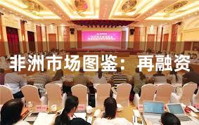 非洲市场图鉴：再融资